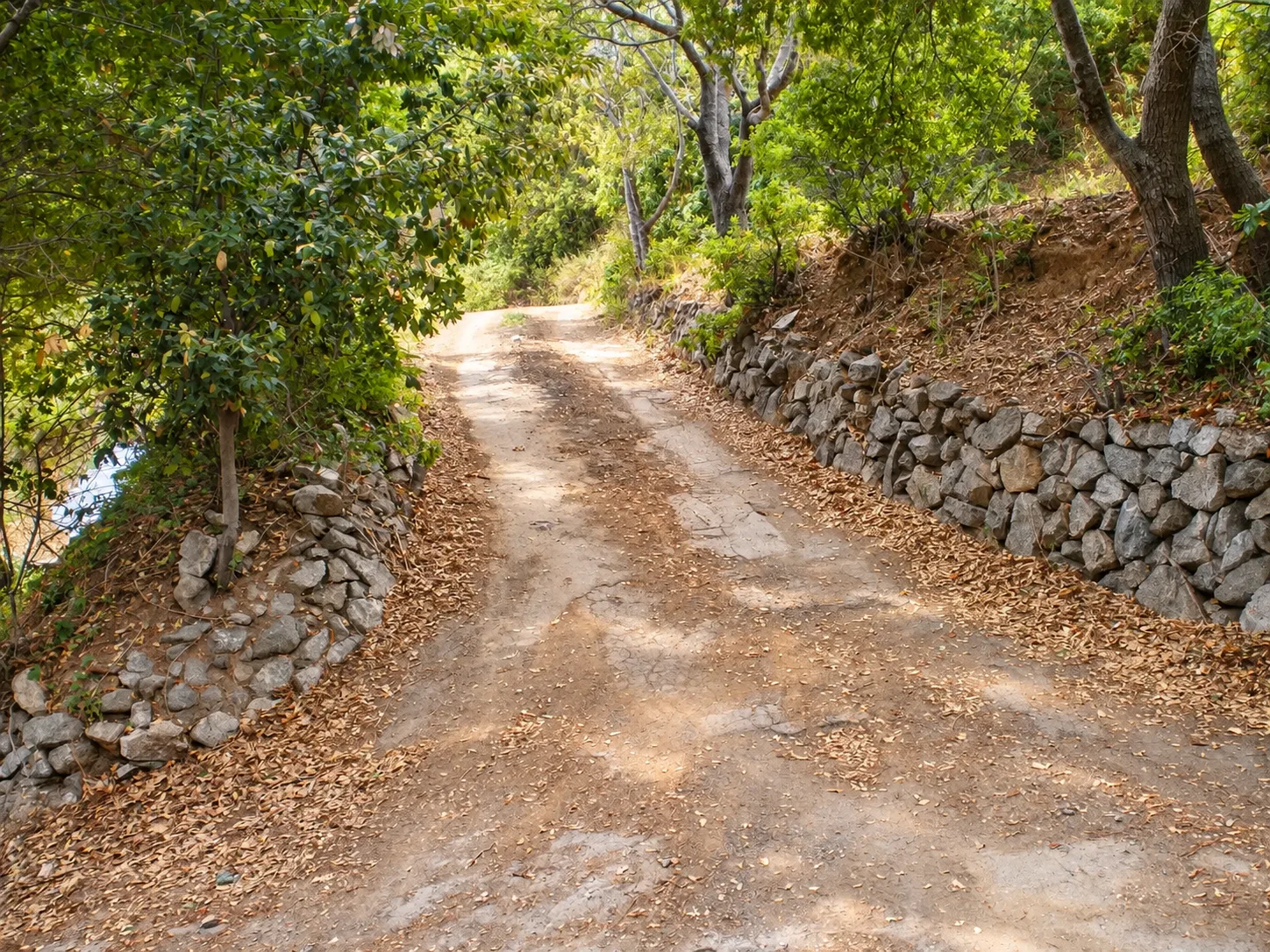 Coastal Mountain Residential — photo 8
