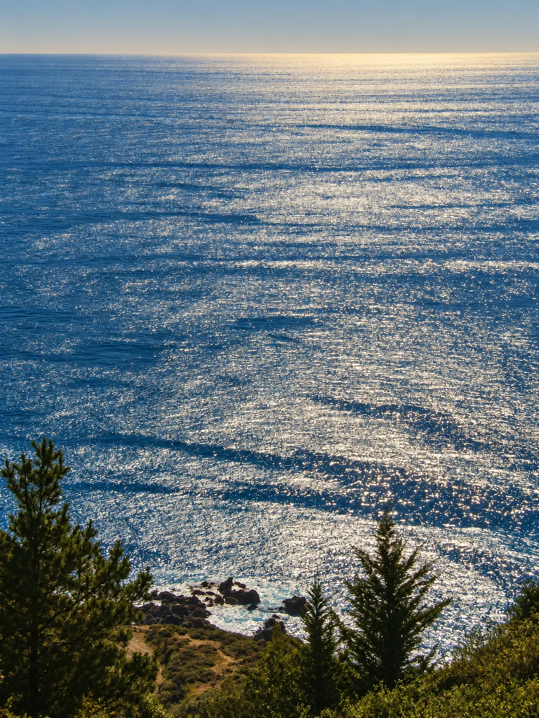 Coastal Mountain Residential — photo 6