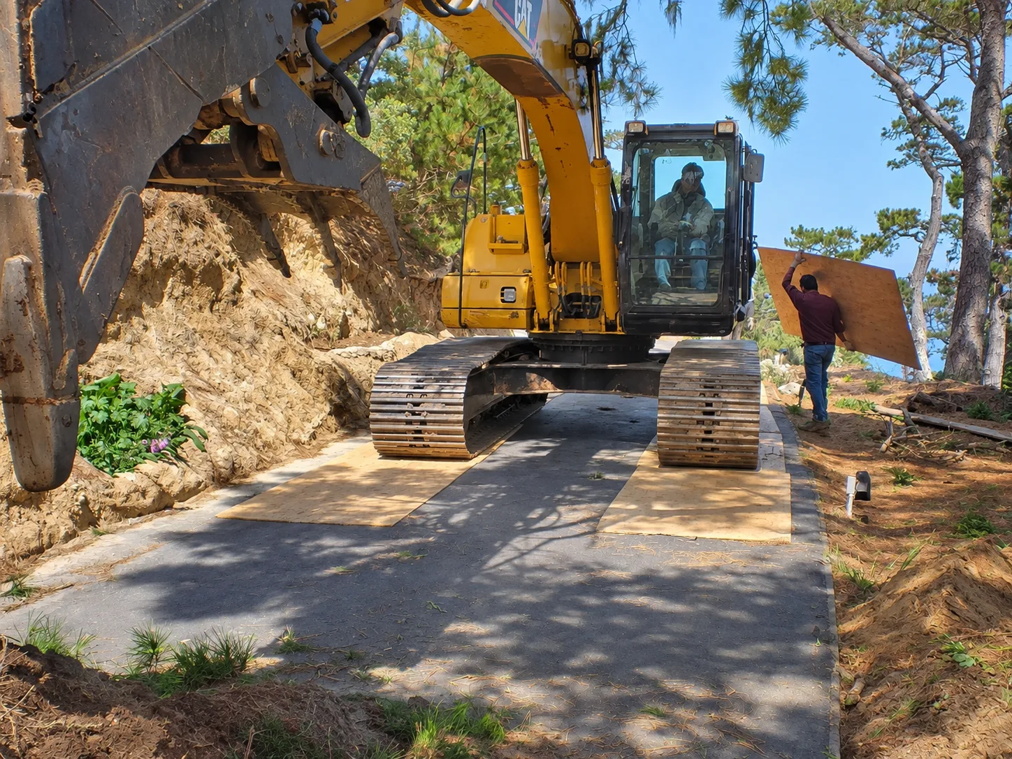 Hillside Restoration & Environmental Cleanup — photo 30