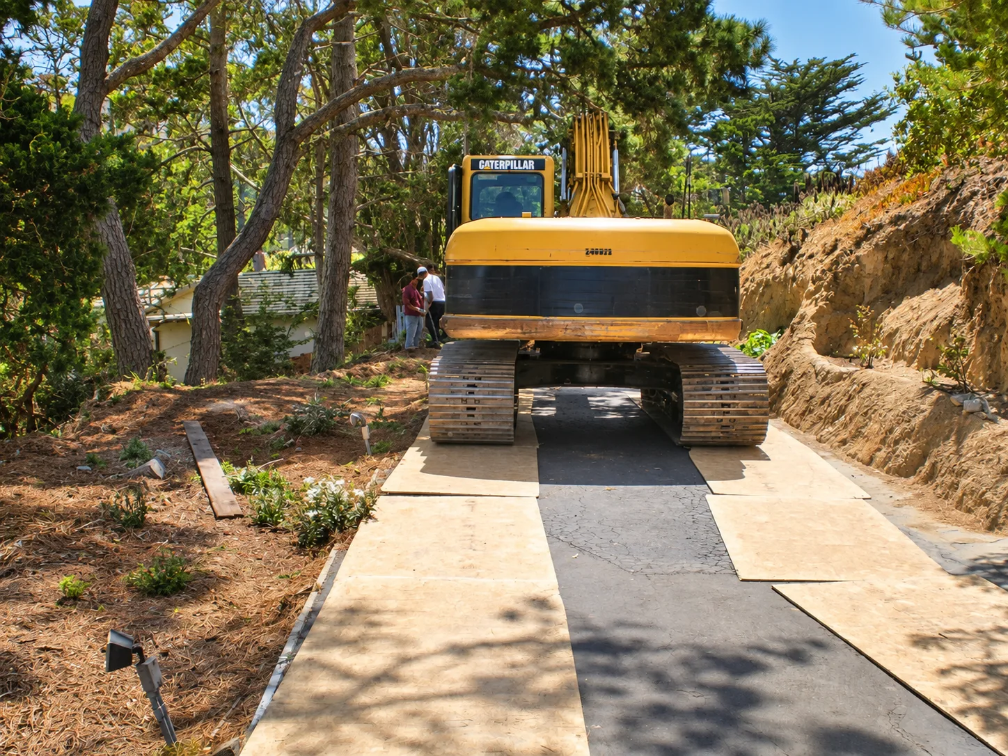 Hillside Restoration & Environmental Cleanup — photo 29