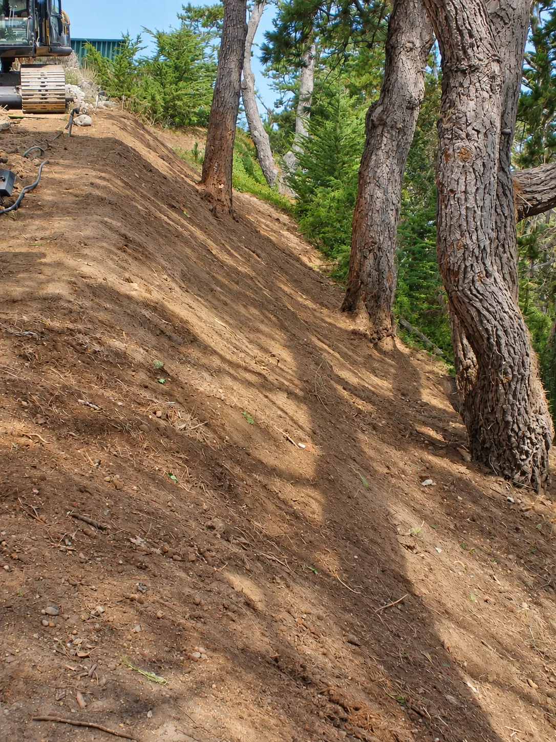 Hillside Restoration & Environmental Cleanup — photo 32