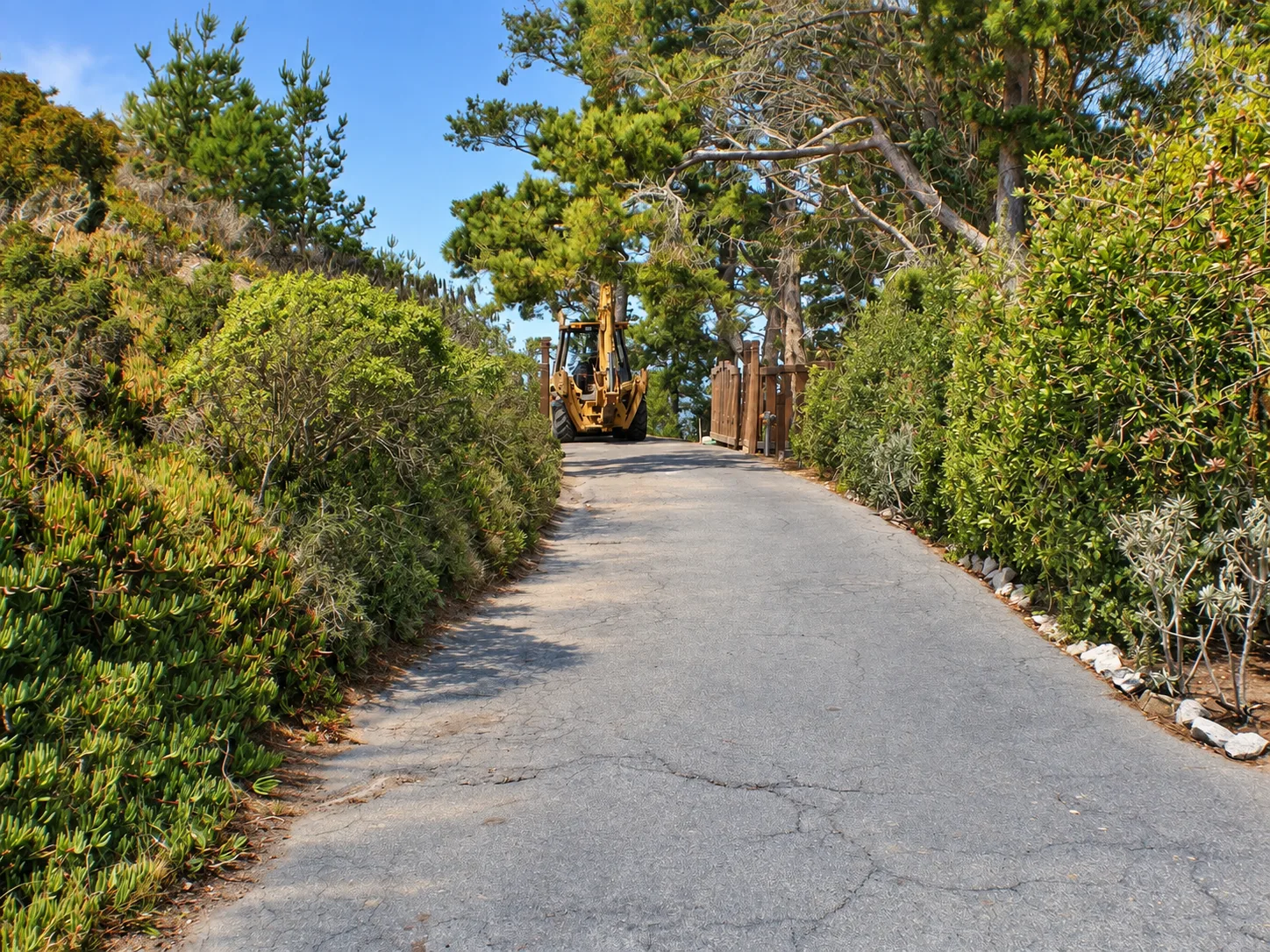 Hillside Restoration & Environmental Cleanup — photo 26