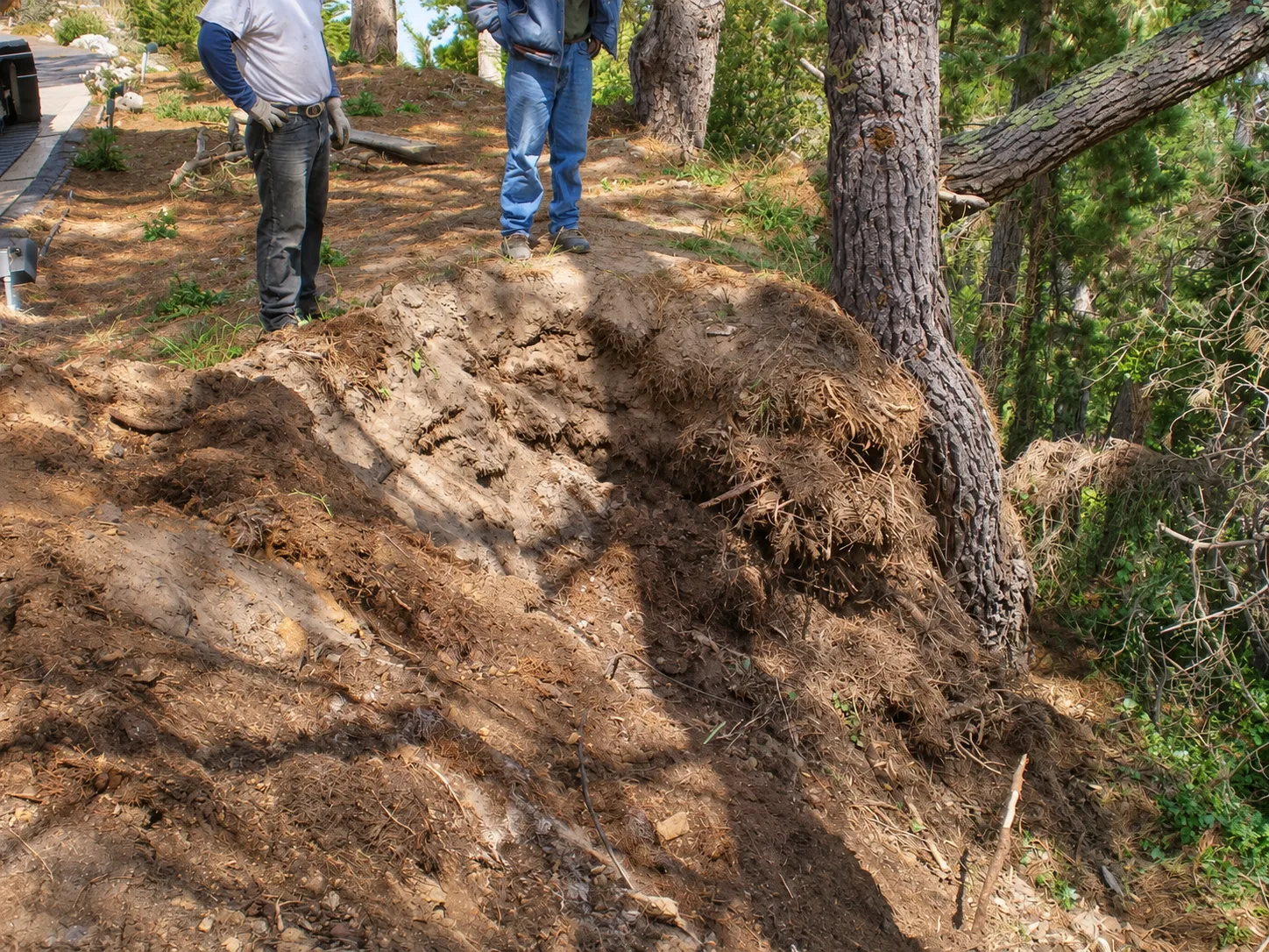 Hillside Restoration & Environmental Cleanup — photo 33