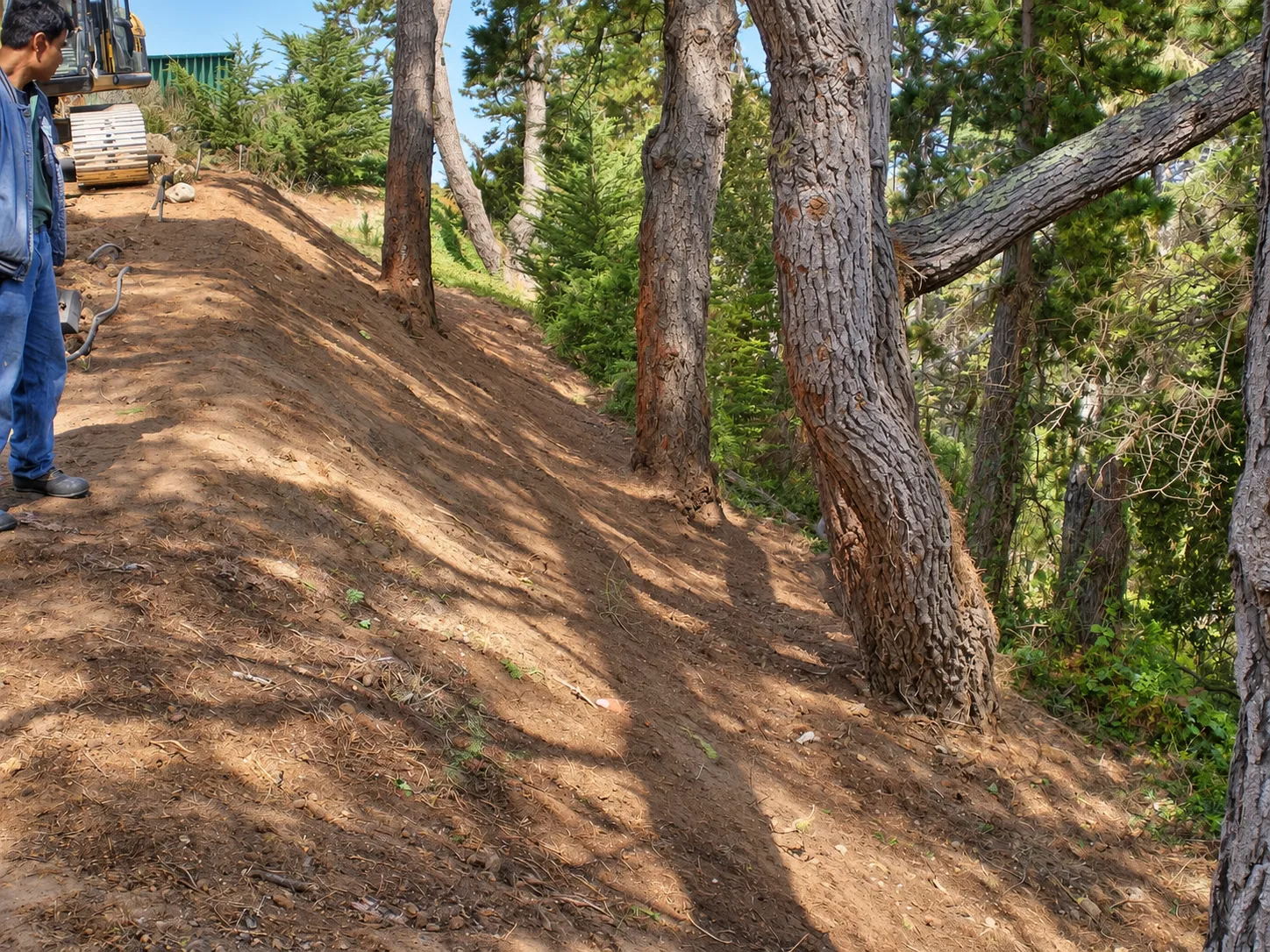 Hillside Restoration & Environmental Cleanup — photo 31