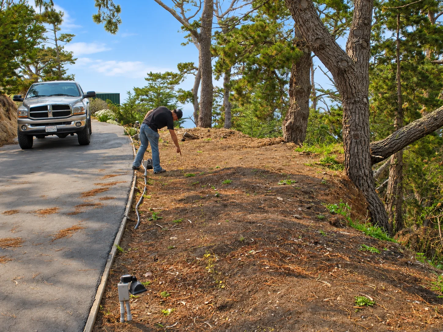 Hillside Restoration & Environmental Cleanup — photo 28