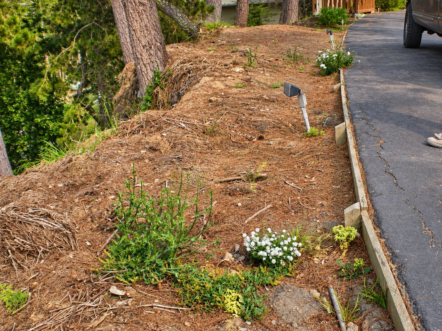 Hillside Restoration & Environmental Cleanup — photo 27