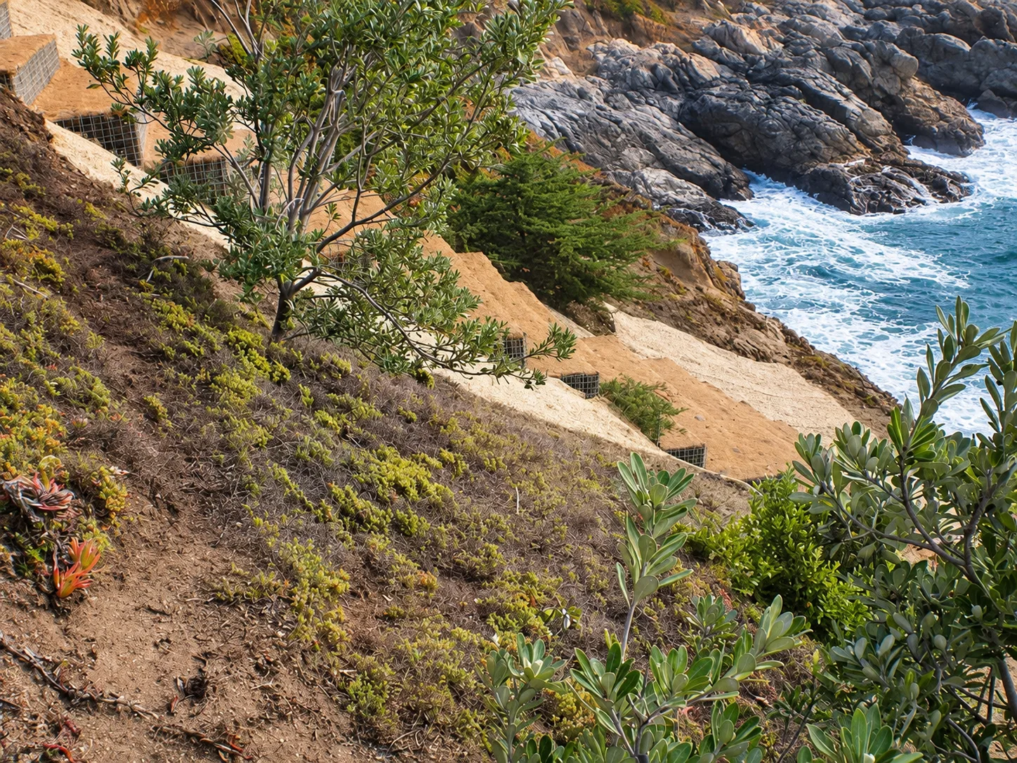 Coastal Restoration — photo 8