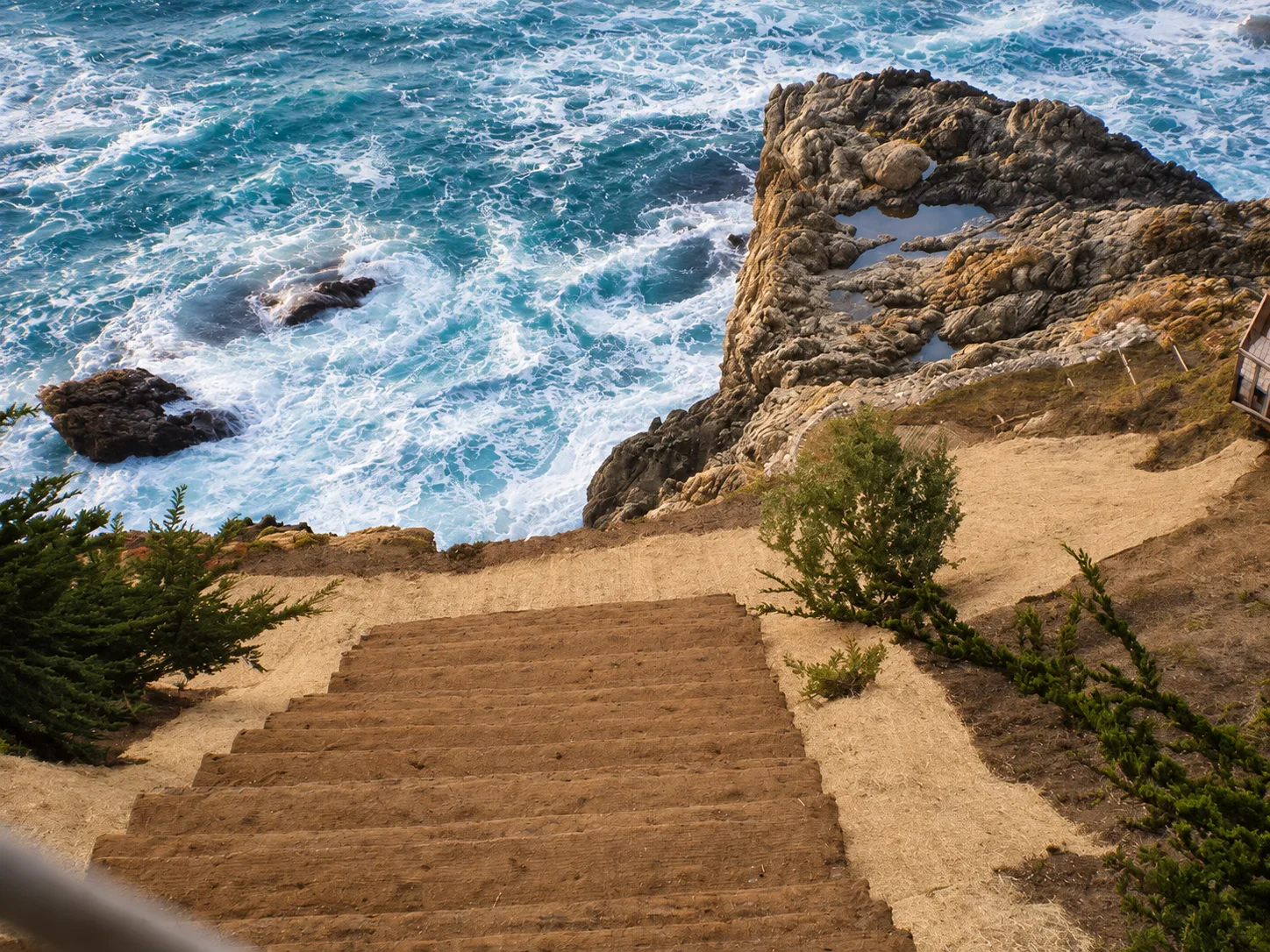 Coastal Restoration — photo 7