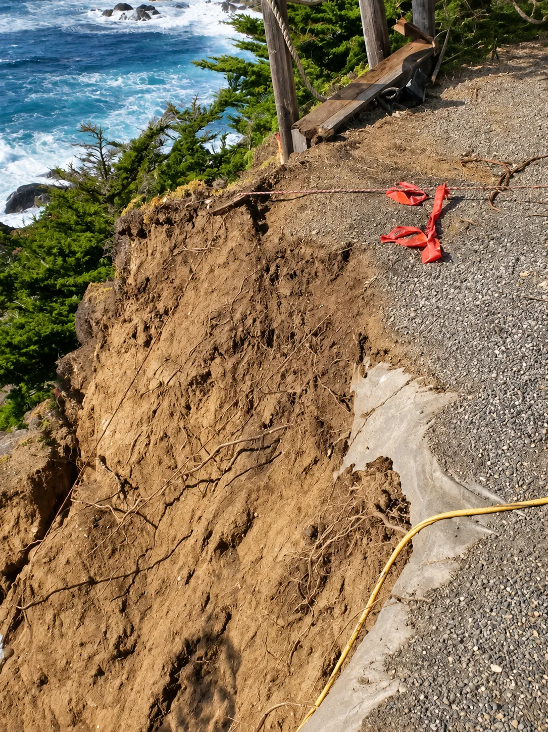 Coastal Restoration — photo 13