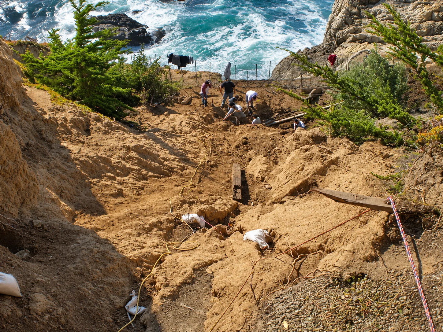 Coastal Restoration — photo 16