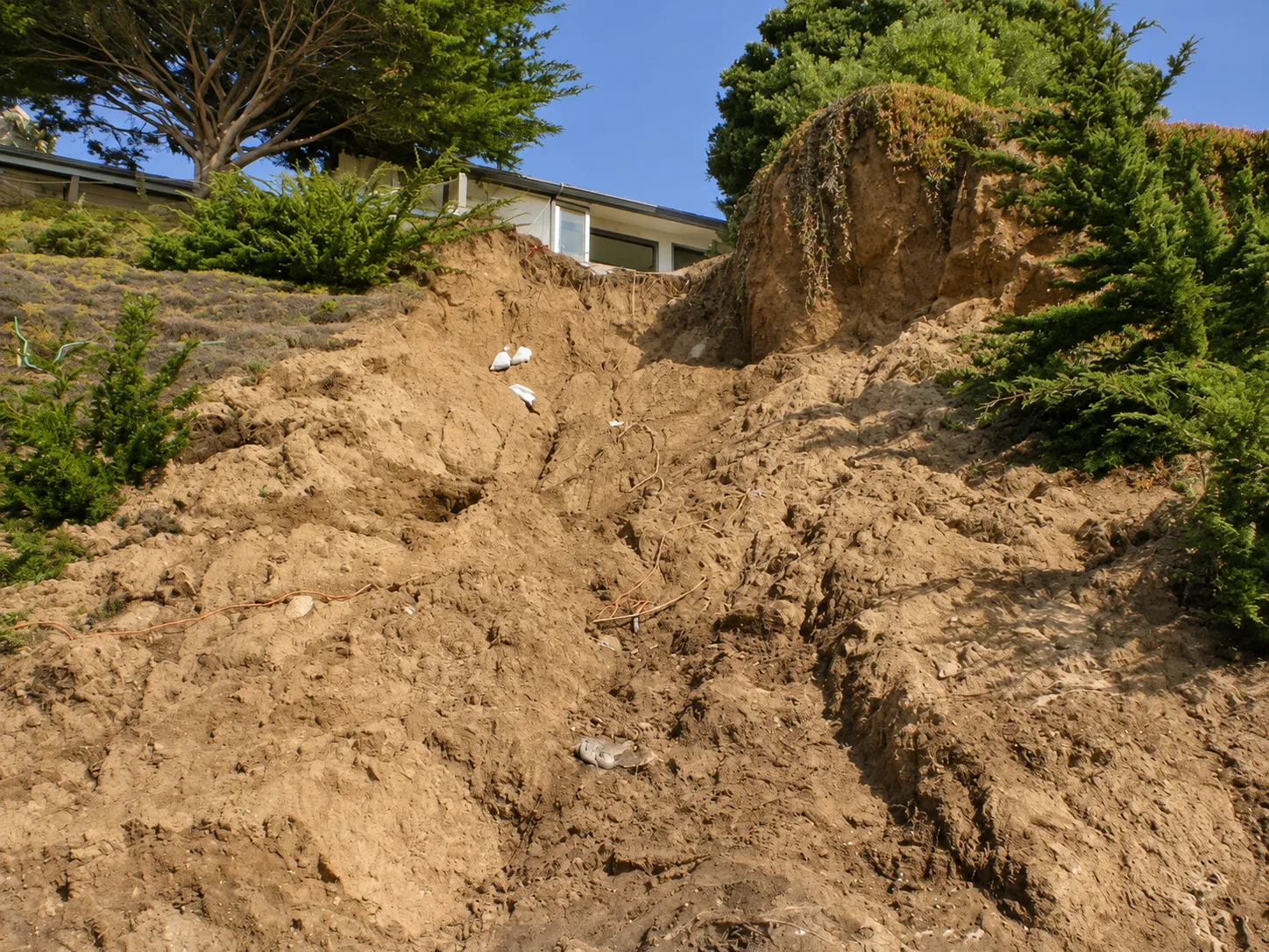 Coastal Restoration — photo 12