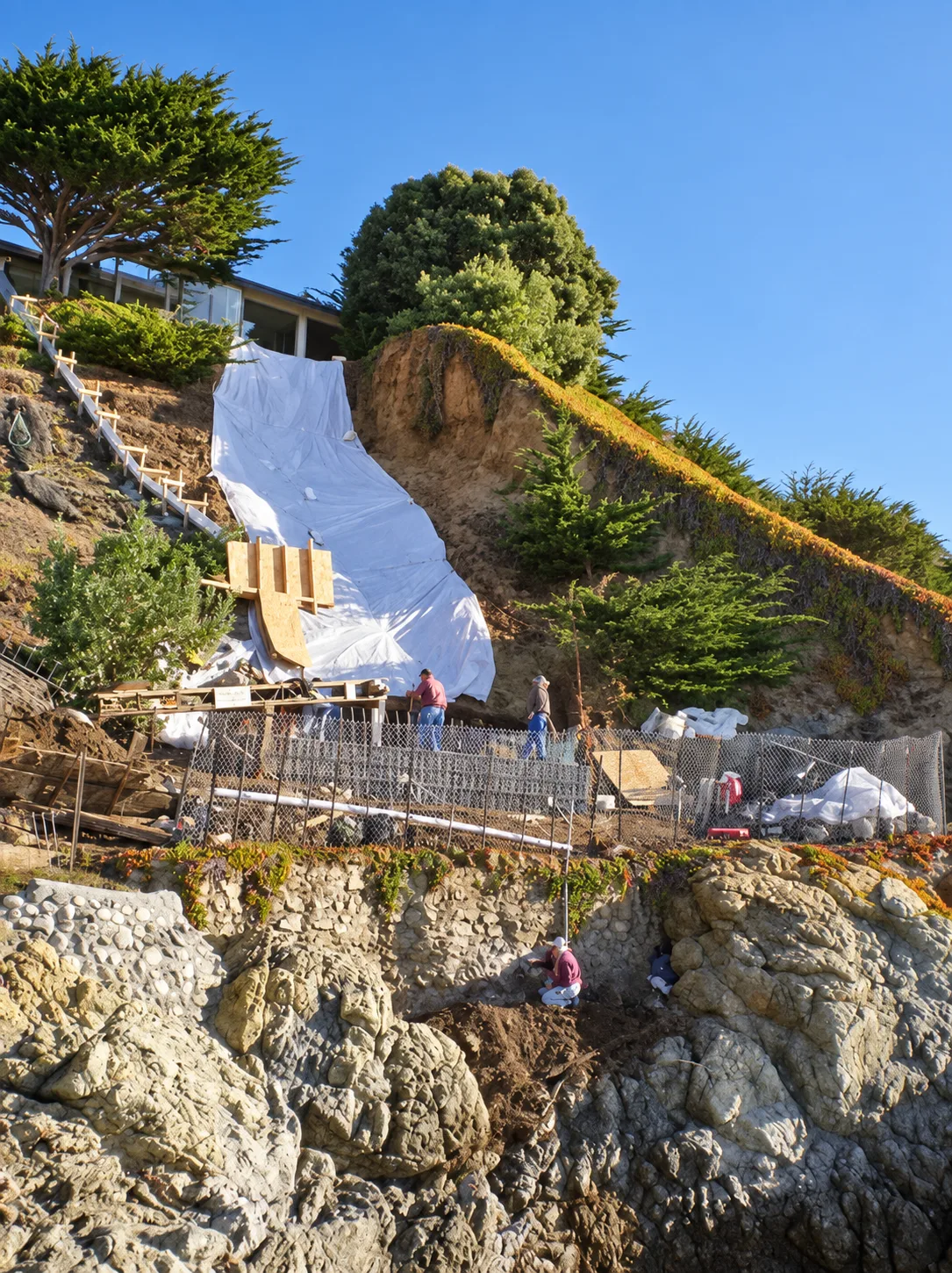 Coastal Restoration — photo 18
