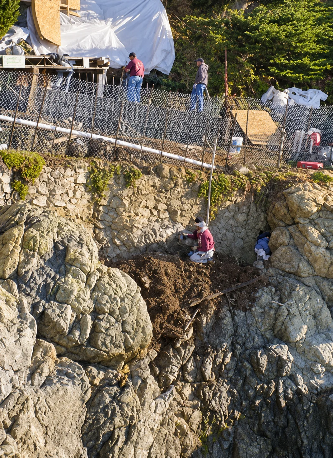 Coastal Restoration — photo 17
