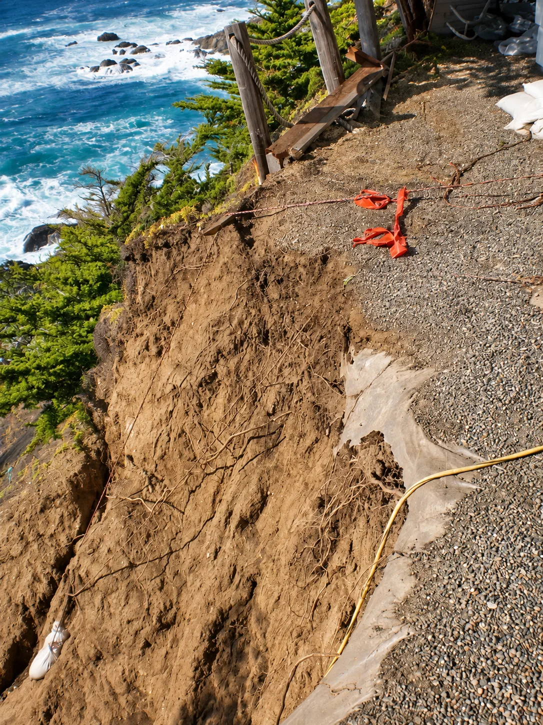 Hillside Restoration & Environmental Cleanup — photo 20