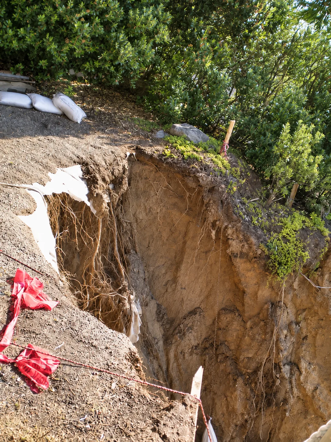 Hillside Restoration & Environmental Cleanup — photo 22