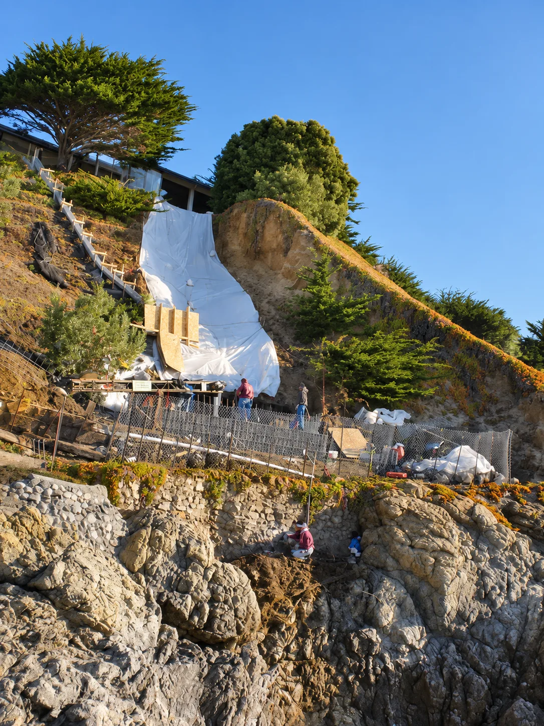 Hillside Restoration & Environmental Cleanup — photo 37
