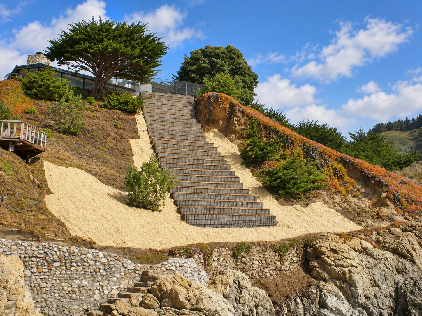 Hillside Restoration & Environmental Cleanup — photo 5