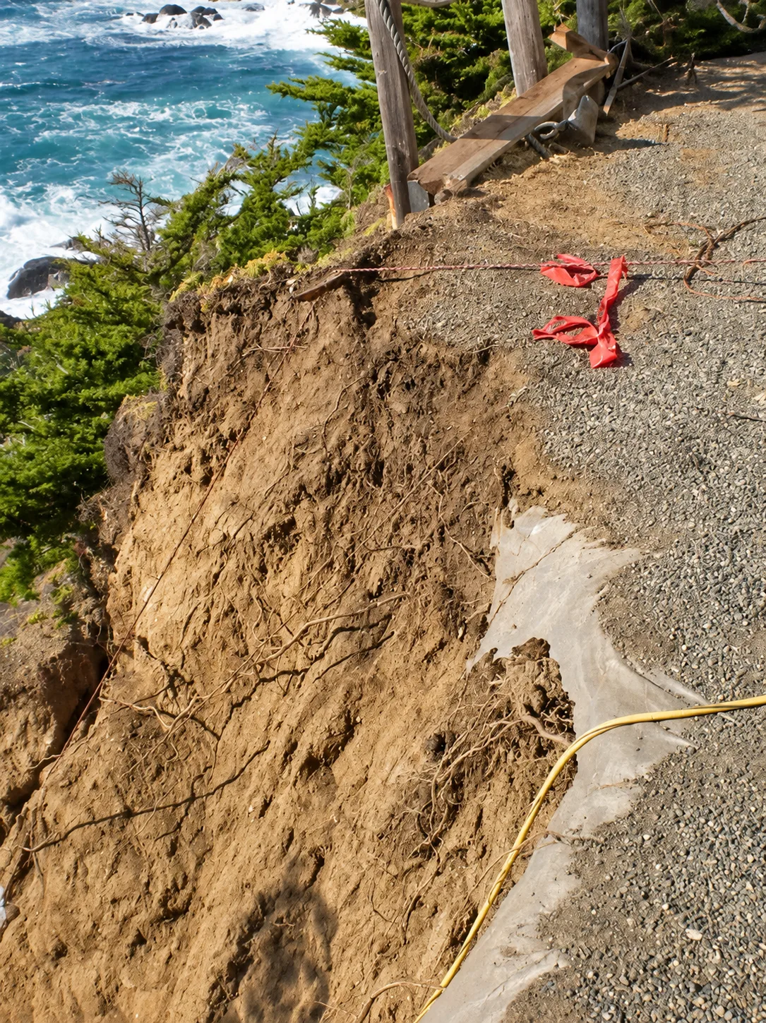 Hillside Restoration & Environmental Cleanup — photo 21