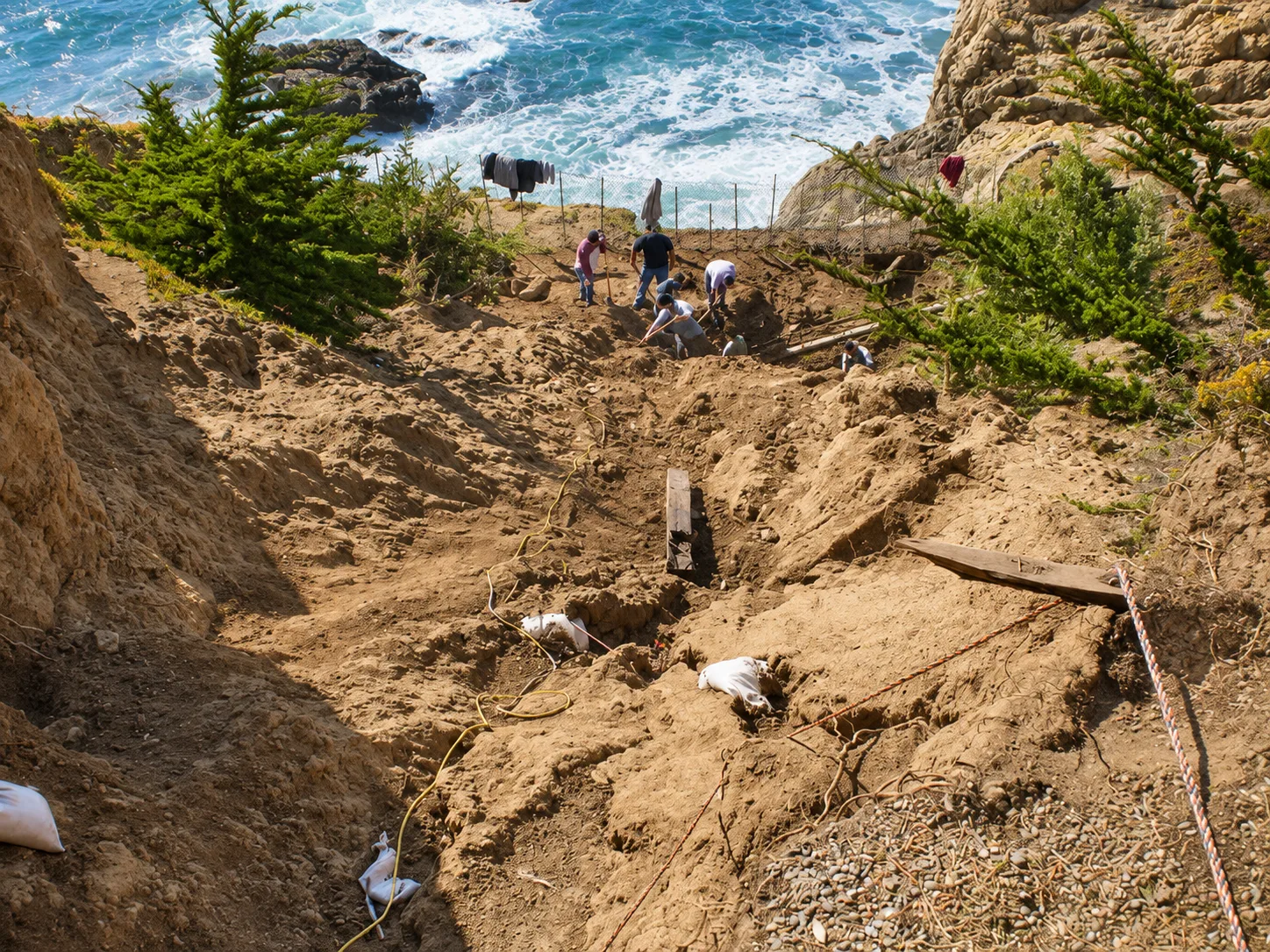 Hillside Restoration & Environmental Cleanup — photo 36