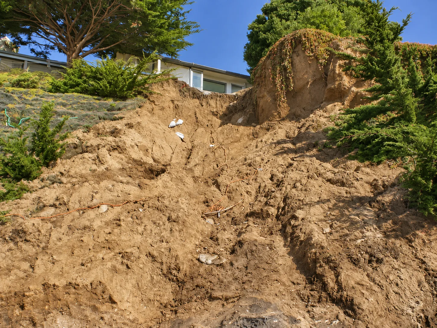 Hillside Restoration & Environmental Cleanup — photo 10