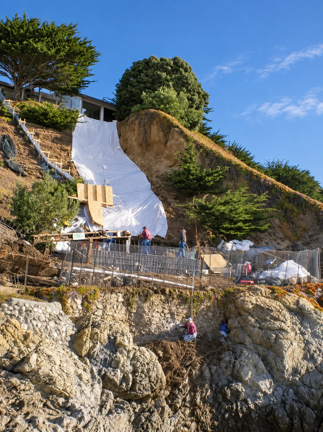Hillside Restoration & Environmental Cleanup — photo 38