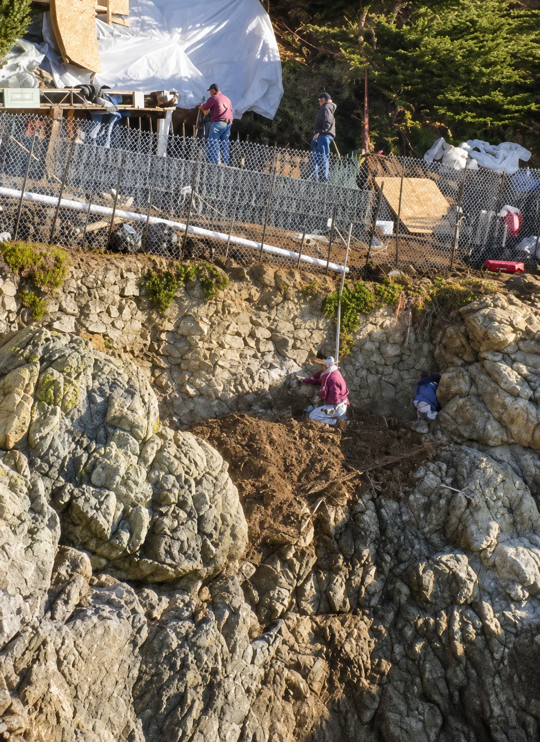 Hillside Restoration & Environmental Cleanup — photo 39