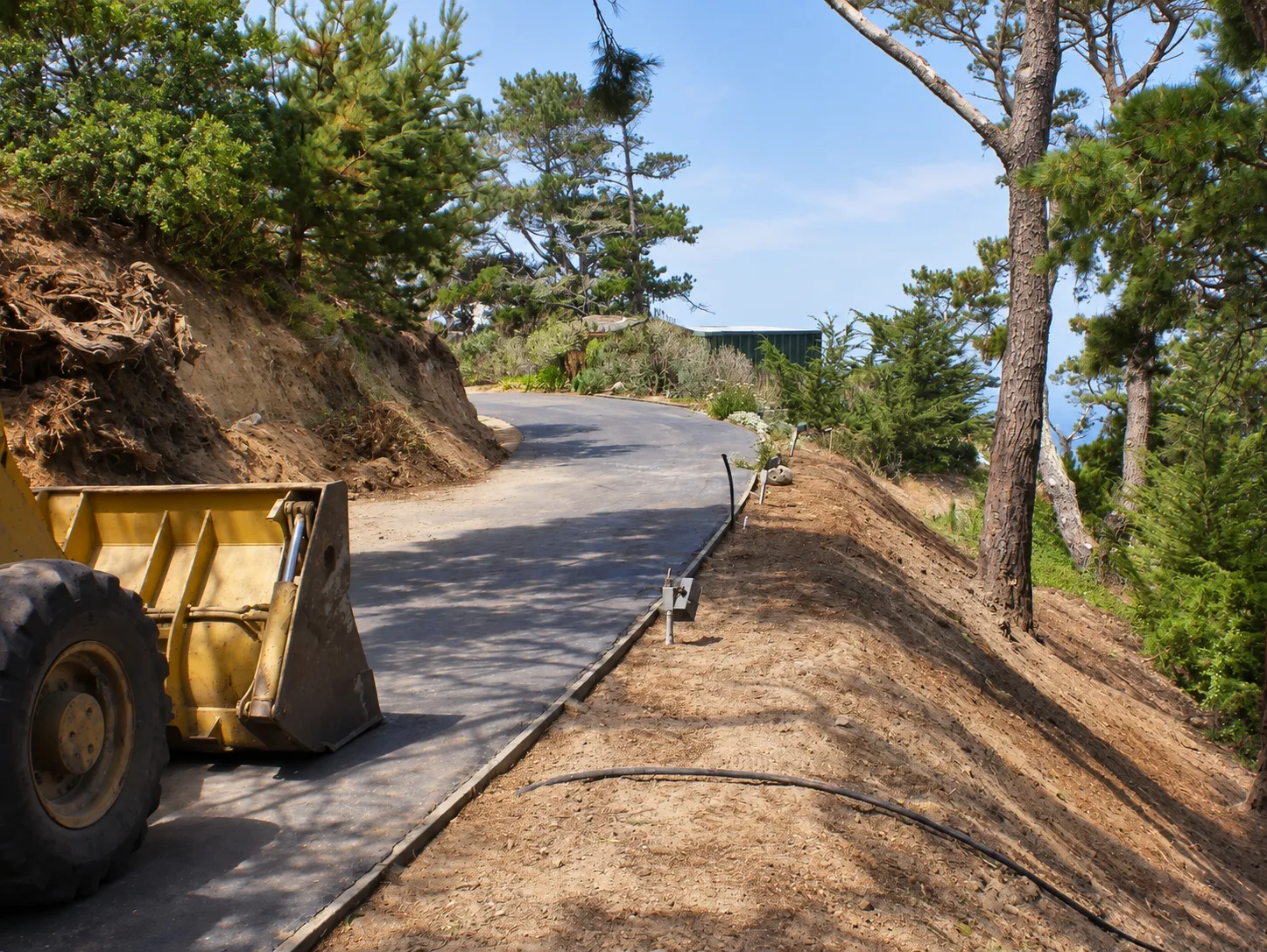 Hillside Restoration & Environmental Cleanup — photo 35